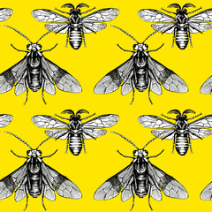 Seamless pattern with image of bee and wasp on a yellow background. Vector illustration.