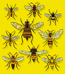 Set Insect Bee Wasp Hornet Gadfly