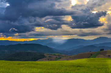 Storm clouds over the mountain and rice paddy