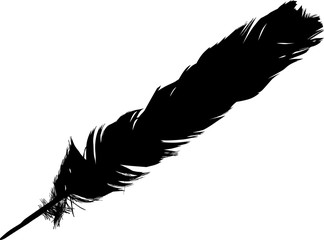 crow black feather silhouette on white