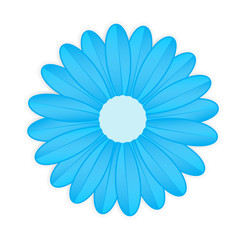 Blue flower on white background