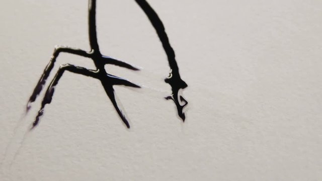 Macro Painter Drops Black Ink on White Canvas