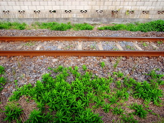 夏草と線路とブロック塀