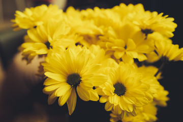 Beautiful yellow color of bouquet of Daisy. Floral background, Floral pattern, close up flowers