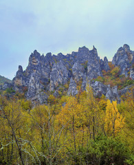 Beautiful landscape in the mountain with colorful autumn forest