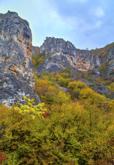 Beautiful landscape in the mountain with colorful autumn forest