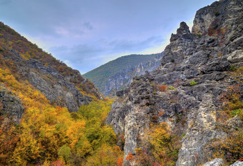 Beautiful landscape in the mountain with colorful autumn forest