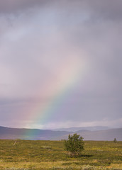 Rainbow above the flat mountain