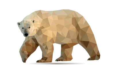 Fototapeta premium White bear