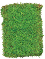 Green Grasses Arena Isolated On White background