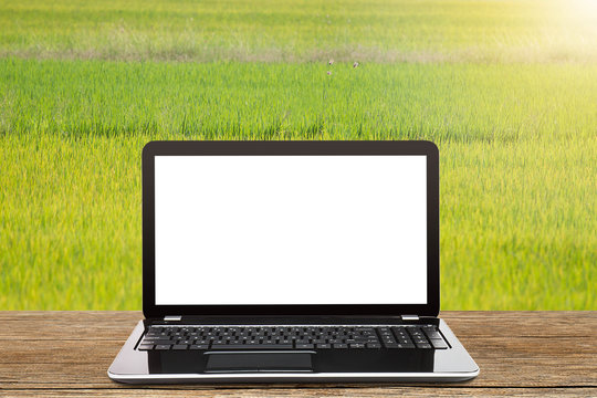 Laptop with blank white screen on vintage wooden table on blurred fresh green meadow background