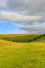 Fototapeta premium The South Downs