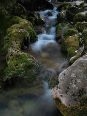 Water stream which goes among big stones.