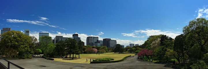 contraste japonais ville et nature 