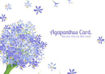 Agapanthus flower spring for card, Blue text on card with blue agapanthus flower is vector for card. 