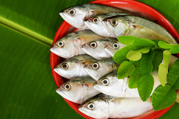 Fresh mackerel fish on leaves
