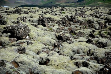 Lava field, Blue Mountains, Iceland