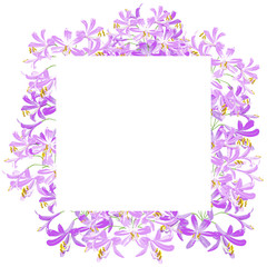The agapanthus flower for frame. The purple flower on the square is vector illustration.