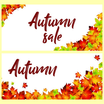 Set of autumn cards with yellow and red foliage of maple. Realistic Vector illustration with text sale