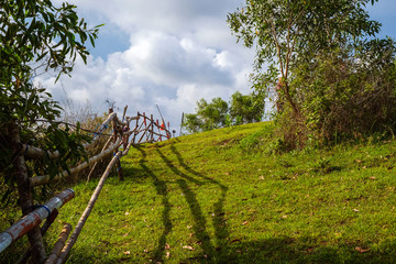 Fototapeta na wymiar tropical green hill with garden fences on java island