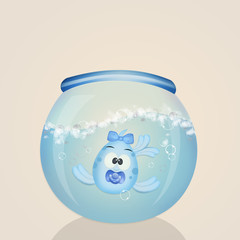 baby fish male in the bowl