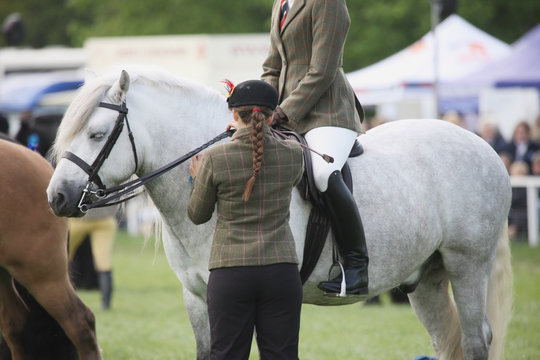 Jockey on a horse before a dressage competition