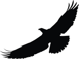 Vector silhouette of the Bird of Prey (Osprey) in flight with wings spread.