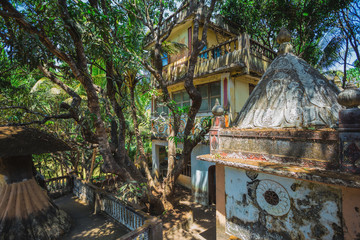 ancient abandoned temple in the jungle of India