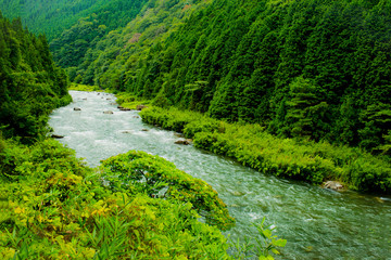 西日本の渓谷・深山、雨の風景