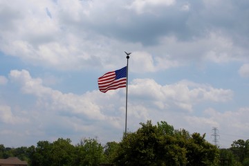 The American flag blowing in the wind above the treetops.