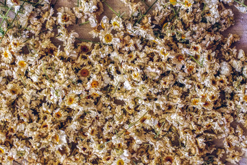 Chamomile flowers dry