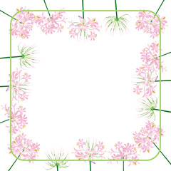 Fototapeta na wymiar The agapanthus flower for frame. The pink flower on the green square line is vector illustration.
