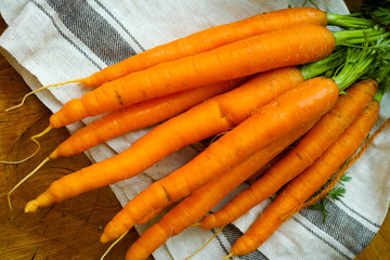 Bunch of fresh summer carrots