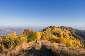 Autumn landscape with a road in the mountains