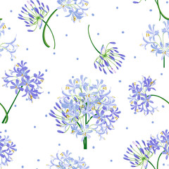 The agapanthus flower in spring. Blue flower is vector for seamless, pattern and background. 