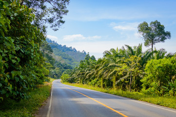 Fototapeta na wymiar Rural asphalt road in Thailand province