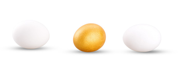 one golden egg with two white