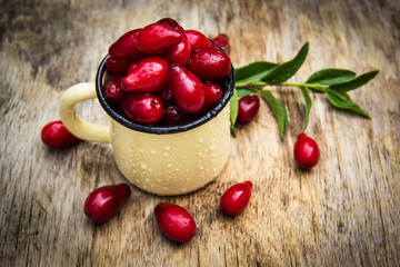 Fresh organic berries dogwood in the iron cup on the old wooden table.