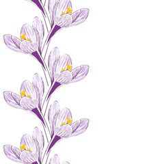 Flower of saffron