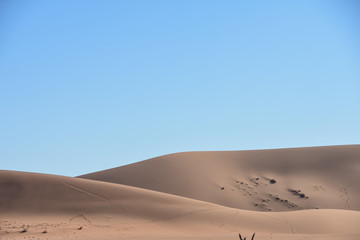 Fototapeta na wymiar Sand Dunes at sunset - Namibia