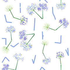 The agapanthus flower is time. Blue flower clock is vector for seamless, pattern and background. this is agapanthus flower collection.