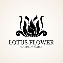 lotus logo