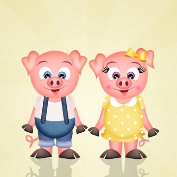 pigs couple