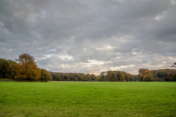 Green field with autumn colored forest and beautiful skye above