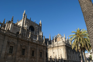 Spagna: vista della Cattedrale di Santa Maria della Sede, la Cattedrale di Siviglia, ex moschea...