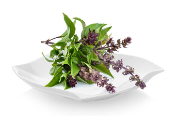 Sweet Basil in a plate on white background