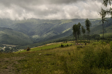 Ukraina wzgórza  © wedrownik52