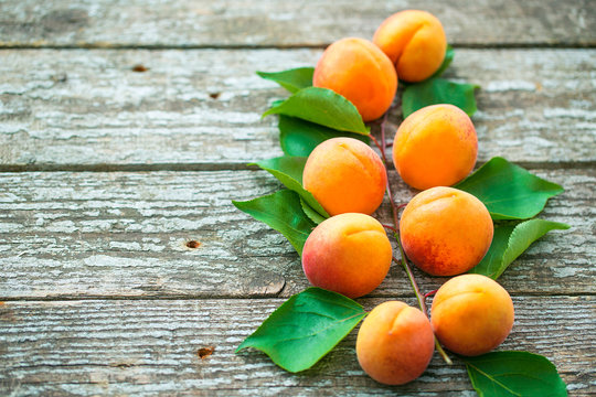 Beautiful ripe orange apricots with leaves on old wooden boards on a background of nature