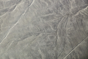 Aerial view of Nazca Lines - Monkey geoglyph, Peru.