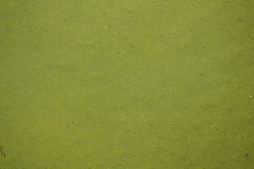 Textured green paper